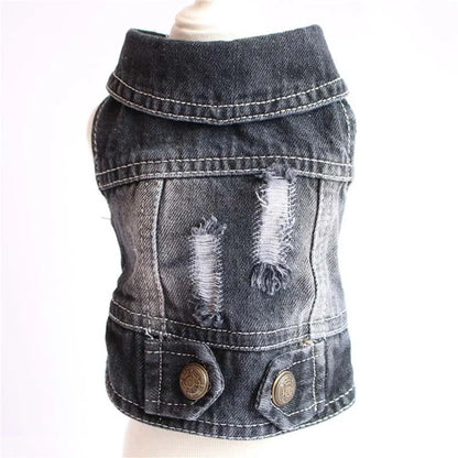 Abbigliamento per gatti Sphinx per gatti di piccola, media e grande taglia, giacca di jeans per gatti lavata scura, cappotto in denim per primavera e autunno, costume per gatti, abbigliamento per animali domestici