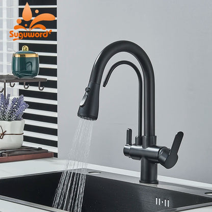 Black Filtered Faucet Brass Purifier Kitchen Faucet Dual Handle Drinking Water Vessel Sink Mixer Tap Torneira for Kitchen