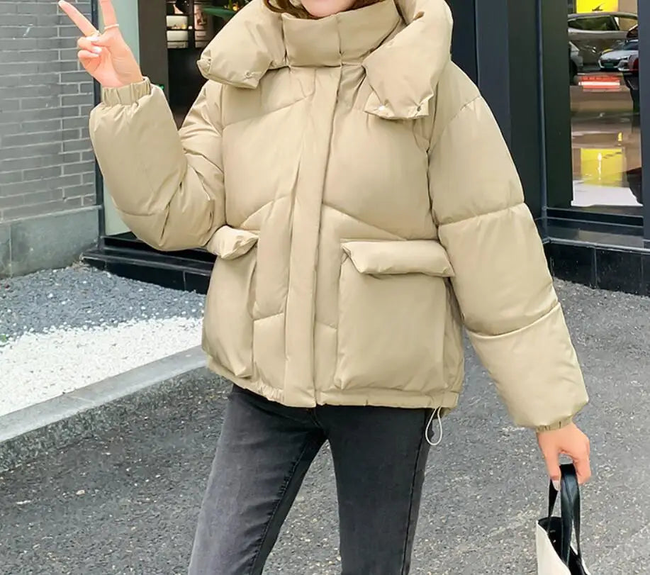 New Winter Fashion Long Sleeve Stand Up Collar Zipper Loose Solid Color Thick Hooded Down Jacket For Women,7 Colors