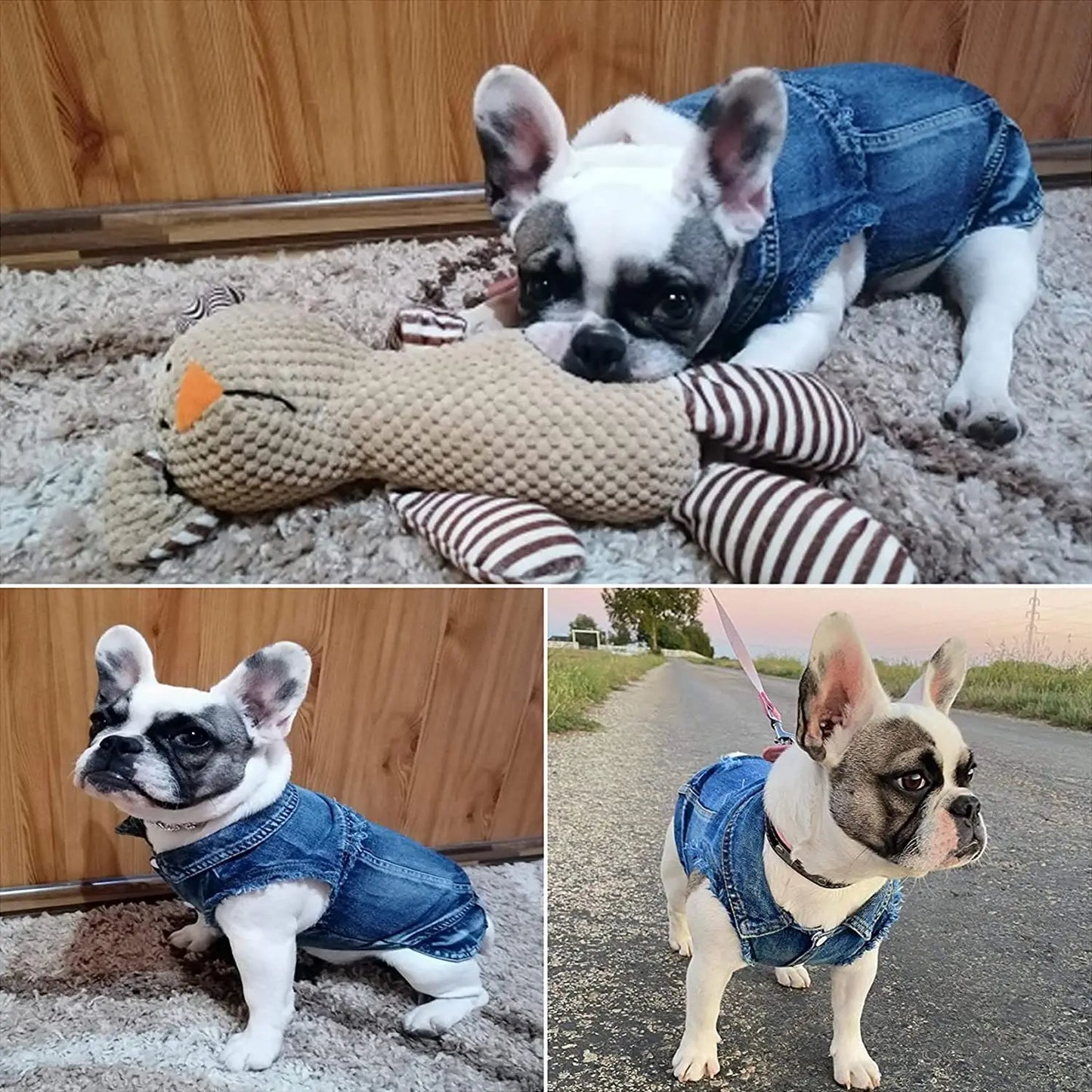 Abbigliamento per gatti Sphinx per gatti di piccola, media e grande taglia, giacca di jeans per gatti lavata scura, cappotto in denim per primavera e autunno, costume per gatti, abbigliamento per animali domestici