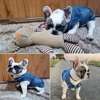 Abbigliamento per gatti Sphinx per gatti di piccola, media e grande taglia, giacca di jeans per gatti lavata scura, cappotto in denim per primavera e autunno, costume per gatti, abbigliamento per animali domestici