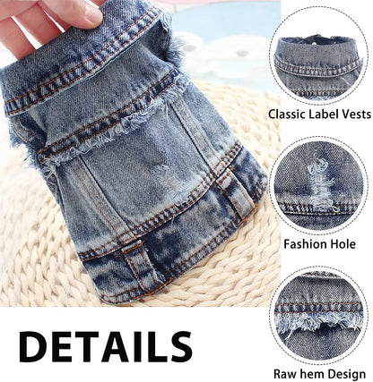 Abbigliamento per gatti Sphinx per gatti di piccola, media e grande taglia, giacca di jeans per gatti lavata scura, cappotto in denim per primavera e autunno, costume per gatti, abbigliamento per animali domestici