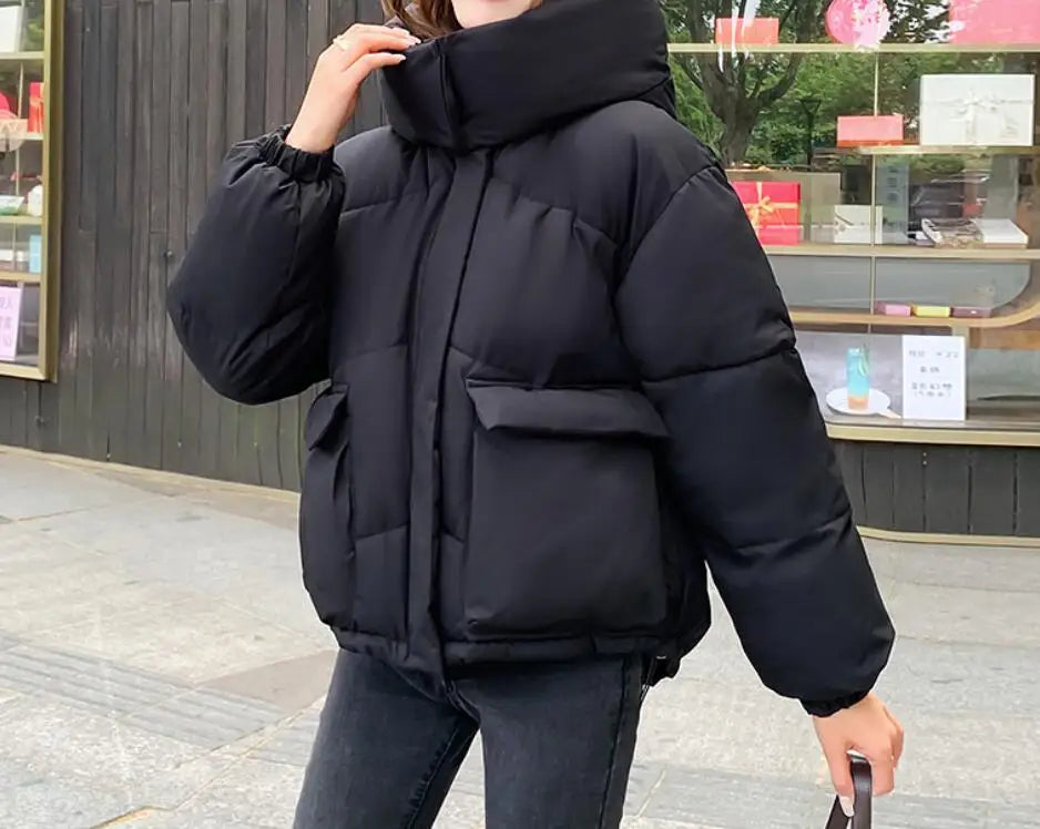 New Winter Fashion Long Sleeve Stand Up Collar Zipper Loose Solid Color Thick Hooded Down Jacket For Women,7 Colors