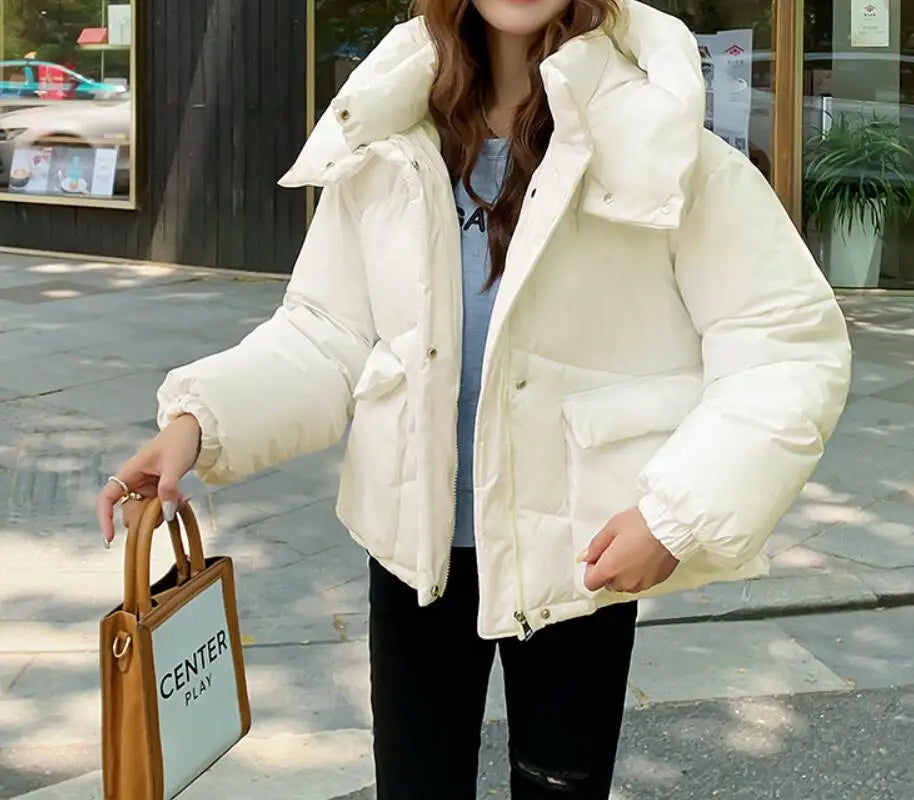 New Winter Fashion Long Sleeve Stand Up Collar Zipper Loose Solid Color Thick Hooded Down Jacket For Women,7 Colors