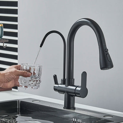 Black Filtered Faucet Brass Purifier Kitchen Faucet Dual Handle Drinking Water Vessel Sink Mixer Tap Torneira for Kitchen