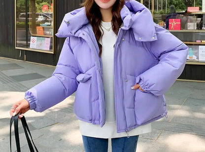 New Winter Fashion Long Sleeve Stand Up Collar Zipper Loose Solid Color Thick Hooded Down Jacket For Women,7 Colors