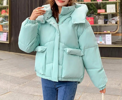 New Winter Fashion Long Sleeve Stand Up Collar Zipper Loose Solid Color Thick Hooded Down Jacket For Women,7 Colors
