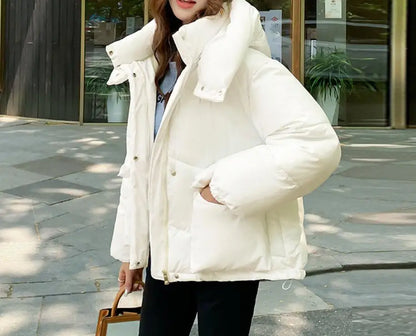 New Winter Fashion Long Sleeve Stand Up Collar Zipper Loose Solid Color Thick Hooded Down Jacket For Women,7 Colors