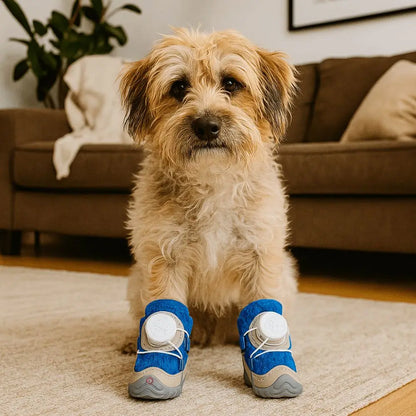 4pcs/set Pet Paw Accessories Breathable Dog Mesh Shoes Reflective Anti-slip Dog Footwear Soft Sole Thin Pet Boots Small Dogs