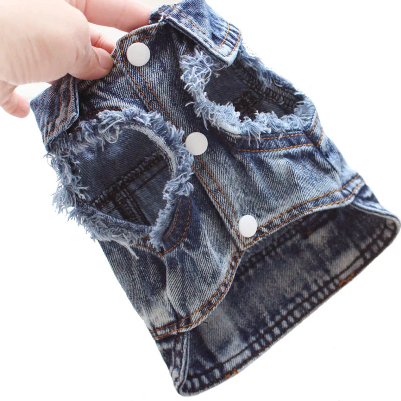 Abbigliamento per gatti Sphinx per gatti di piccola, media e grande taglia, giacca di jeans per gatti lavata scura, cappotto in denim per primavera e autunno, costume per gatti, abbigliamento per animali domestici