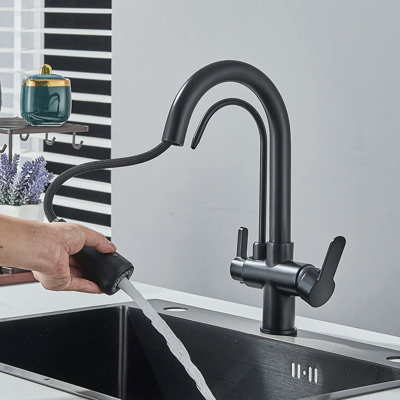 Black Filtered Faucet Brass Purifier Kitchen Faucet Dual Handle Drinking Water Vessel Sink Mixer Tap Torneira for Kitchen
