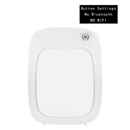 Diffusore automatico di aromi e profumi da 160 ml con timer, per oli essenziali, ideale per casa, hotel e camere d'albergo.